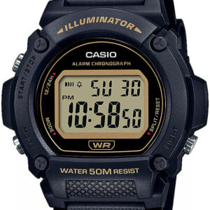 Годинник Casio TIMELESS COLLECTION W-219H-1A2VEF