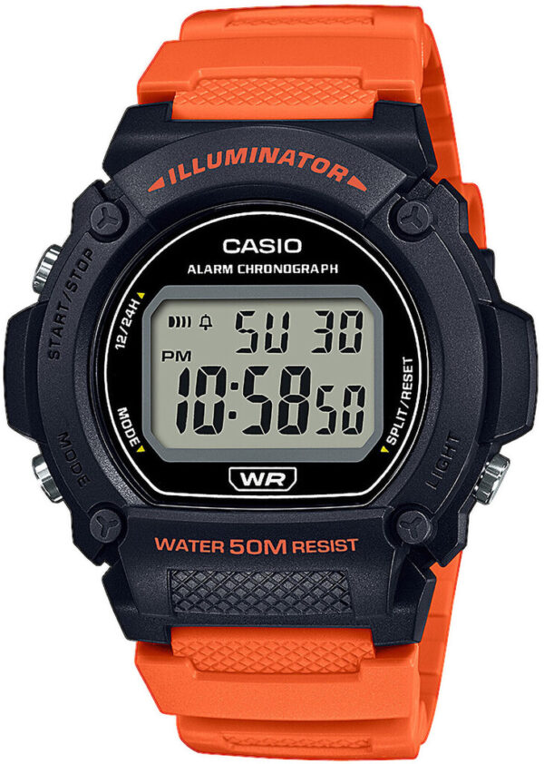 Годинник Casio TIMELESS COLLECTION W-219H-4A